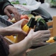 Minnesota FoodShare’s Harvest Campaign