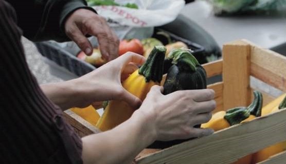 Minnesota FoodShare’s Harvest Campaign